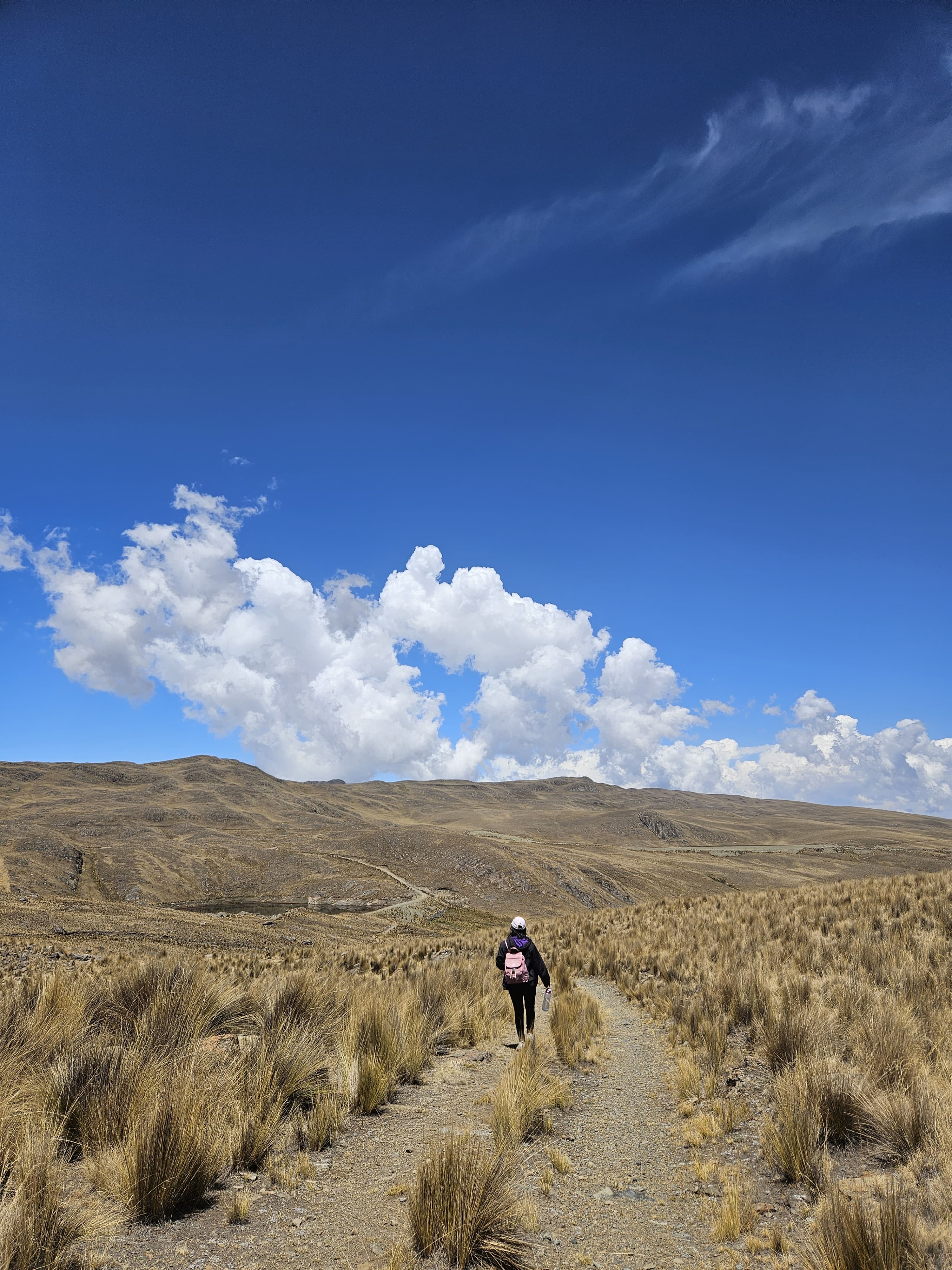 A person walks along a dirt path through tall grass, with rolling hills and a vast sky filled with clouds in the background.