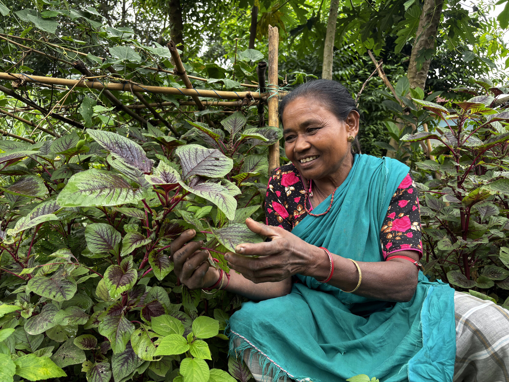 A woman sits among lush plants, smiling as she holds a small pot. Bamboo supports are visible in the background.