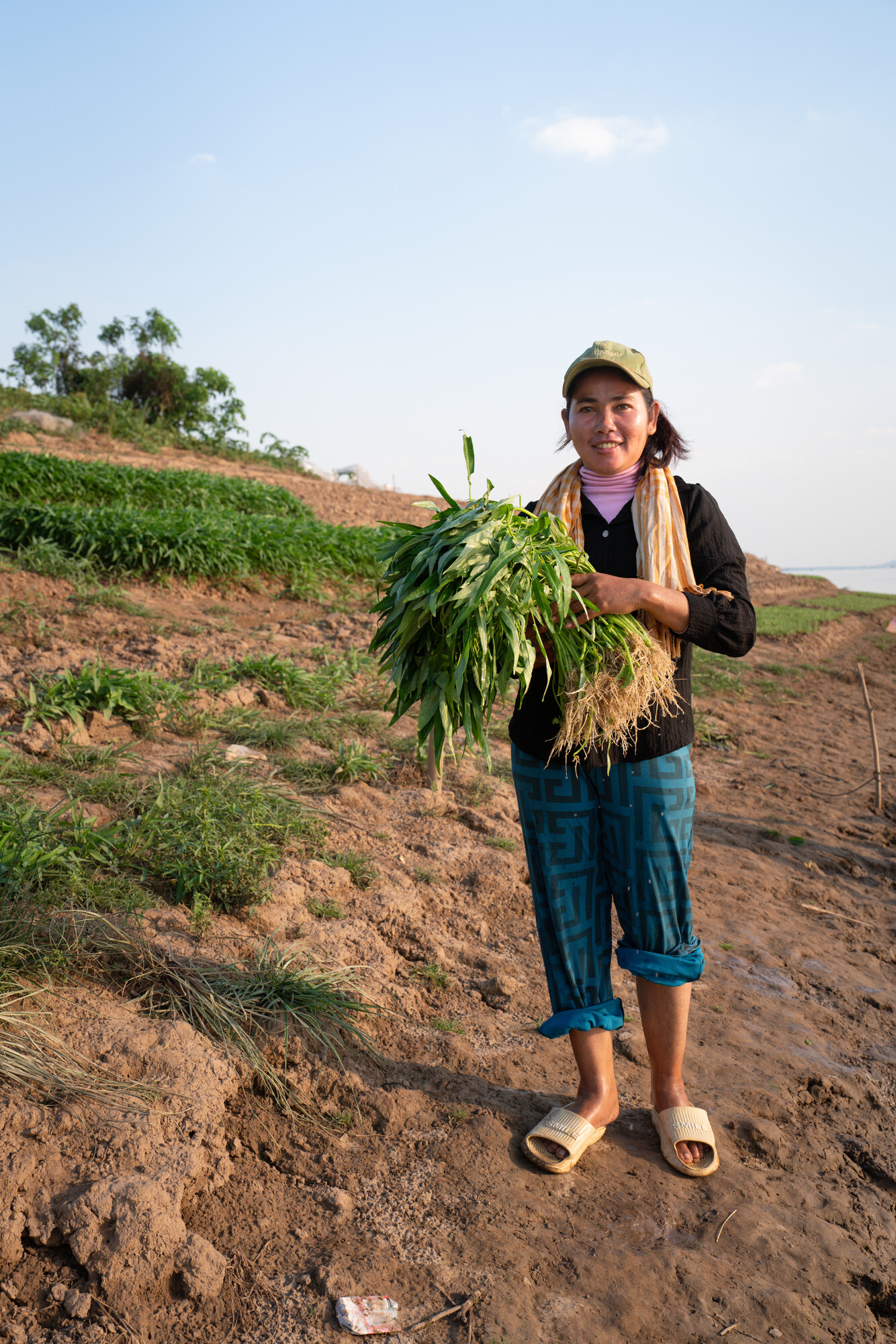 Theum Chan Thou, 37, the women's leader of the Prey Lang patrol and part of the women's boat patrol team at the village of Vattanak in Kratié Province, gathers morning glory (water spinach)  for cook