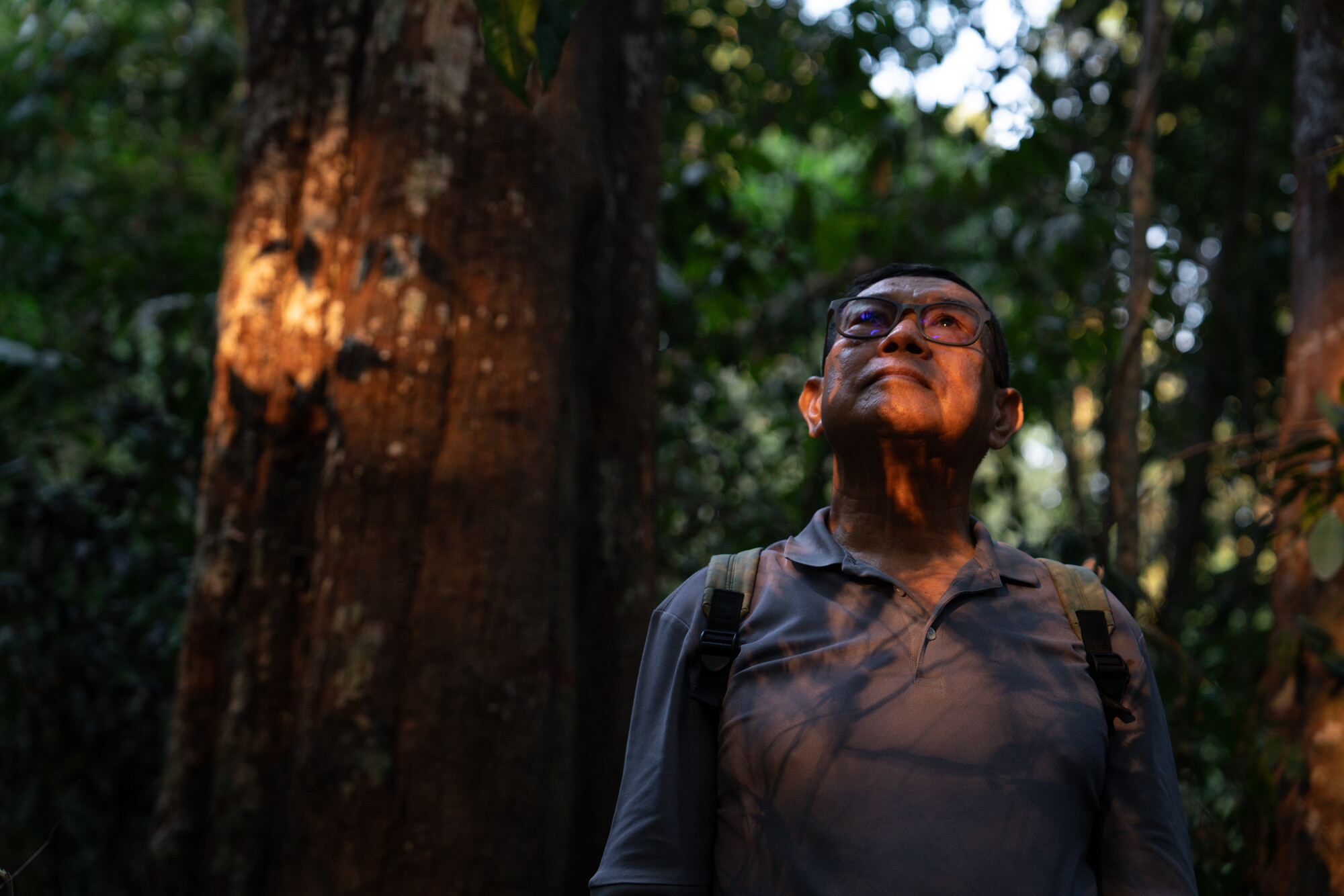 Nop Sokha, 70, PBO staff and PBO Senior Partnership Coordinator, walking in the community forest at Chheu Teal Preus .