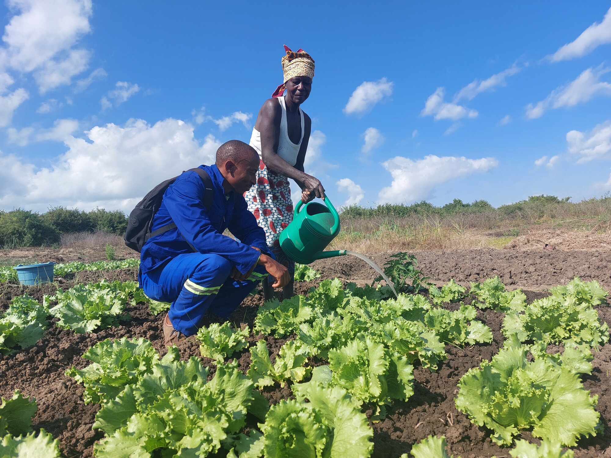 Thabiso Matsoso, MCC's conservation agriculture worker in Mozambique, watches closely at how the water is being poured out by Julia Kombo, a project participant.

Matsoso assists the Chigogoro commu