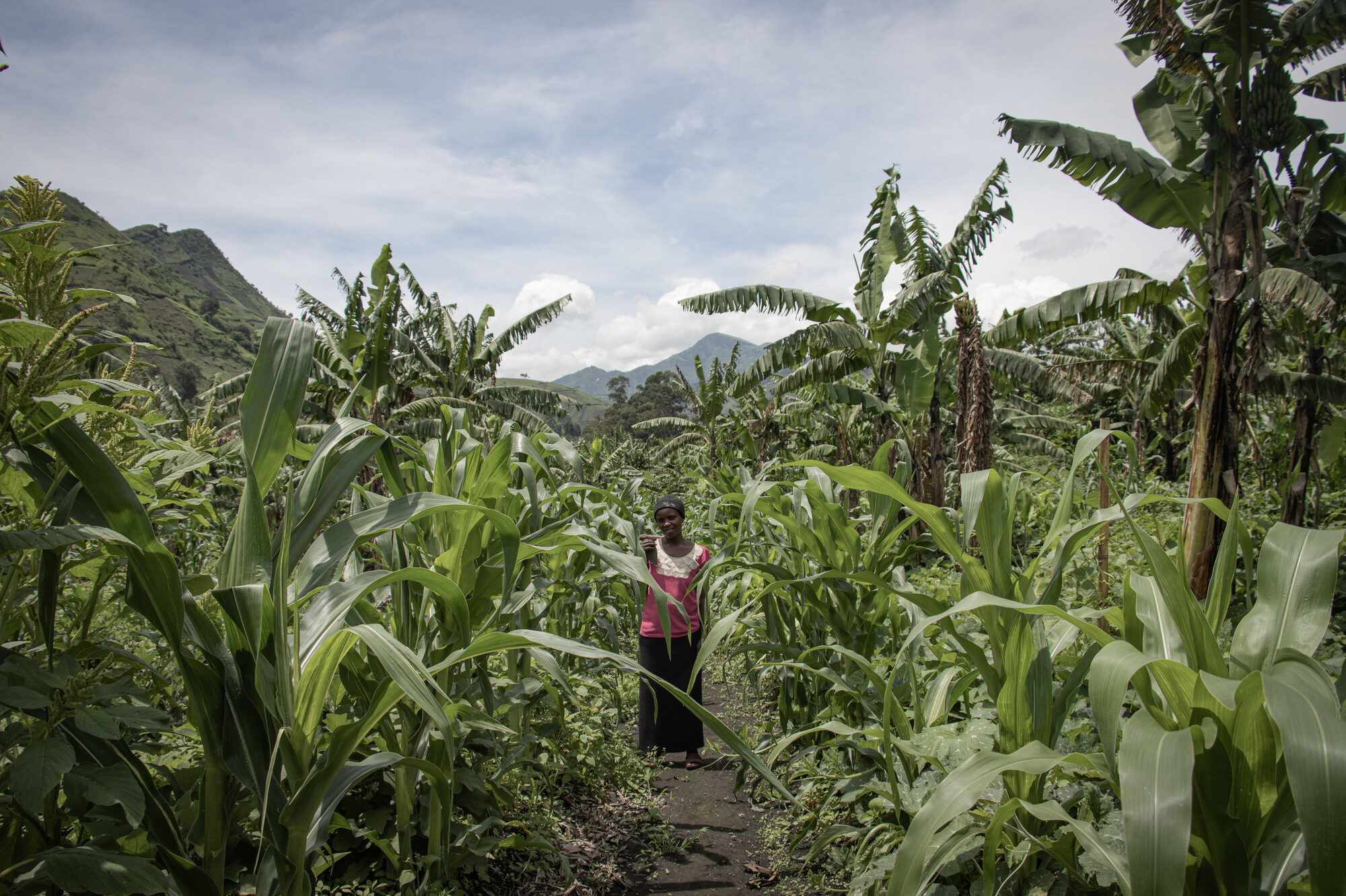 War-displaced Bahati Kamara Chance harvests a vegetable called “Bishusha” (squash leaf) in the community field provided by ECC Meru for war-displaced families in the Poste camp in Minova, South Ki