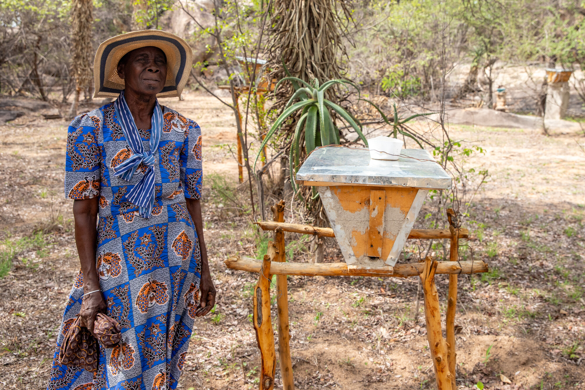 Molly Moyo at the piece of land where she keeps her beehives. Together with MCC partner Brethren in Christ Compassionate and Development Service (BIC-CDS), she is reforesting this area and teaching ot