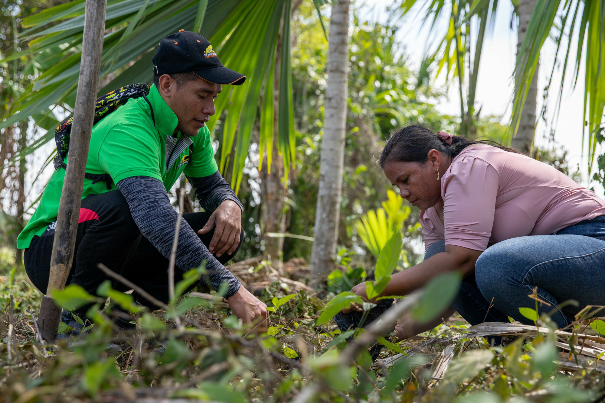 Oscar Torres and Judith Estela Robles Rivero plant a guava seedling on Robles Rivero's property.