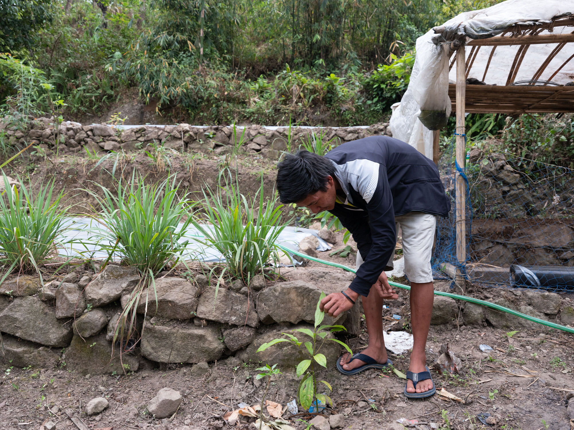 Ishwor Man Magar (20), at his farm in Kerabari Rural Municipality-3, Morang, Nepal on Saturday, April 20, 2024.