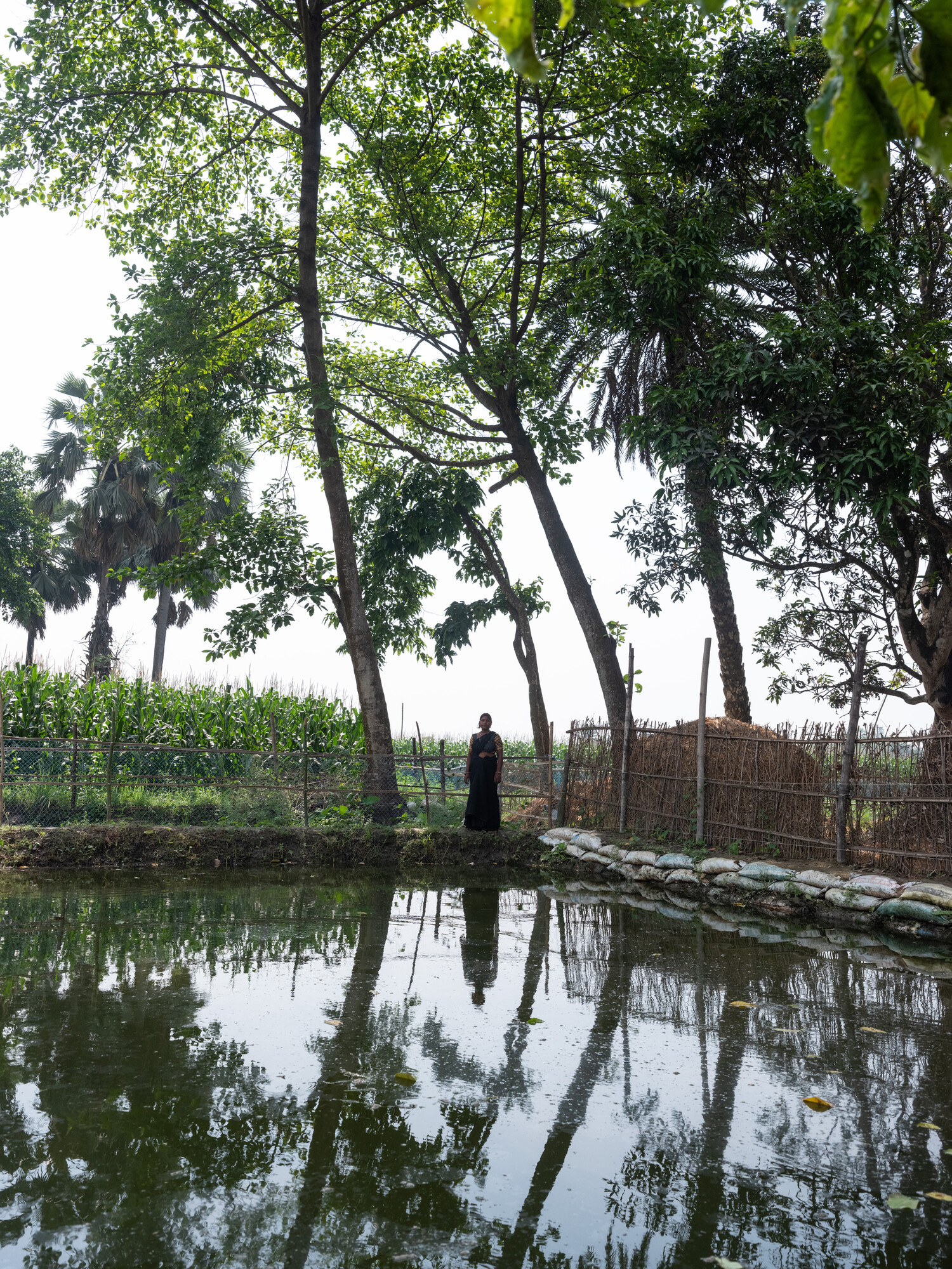 Sangita Soren (30) is at her fish pond  in Jahada Rural Municipality-5, Morang, Nepal on Monday, April 22, 2024. She got seasonal and off seasonal vegetable farming training from SAHAS