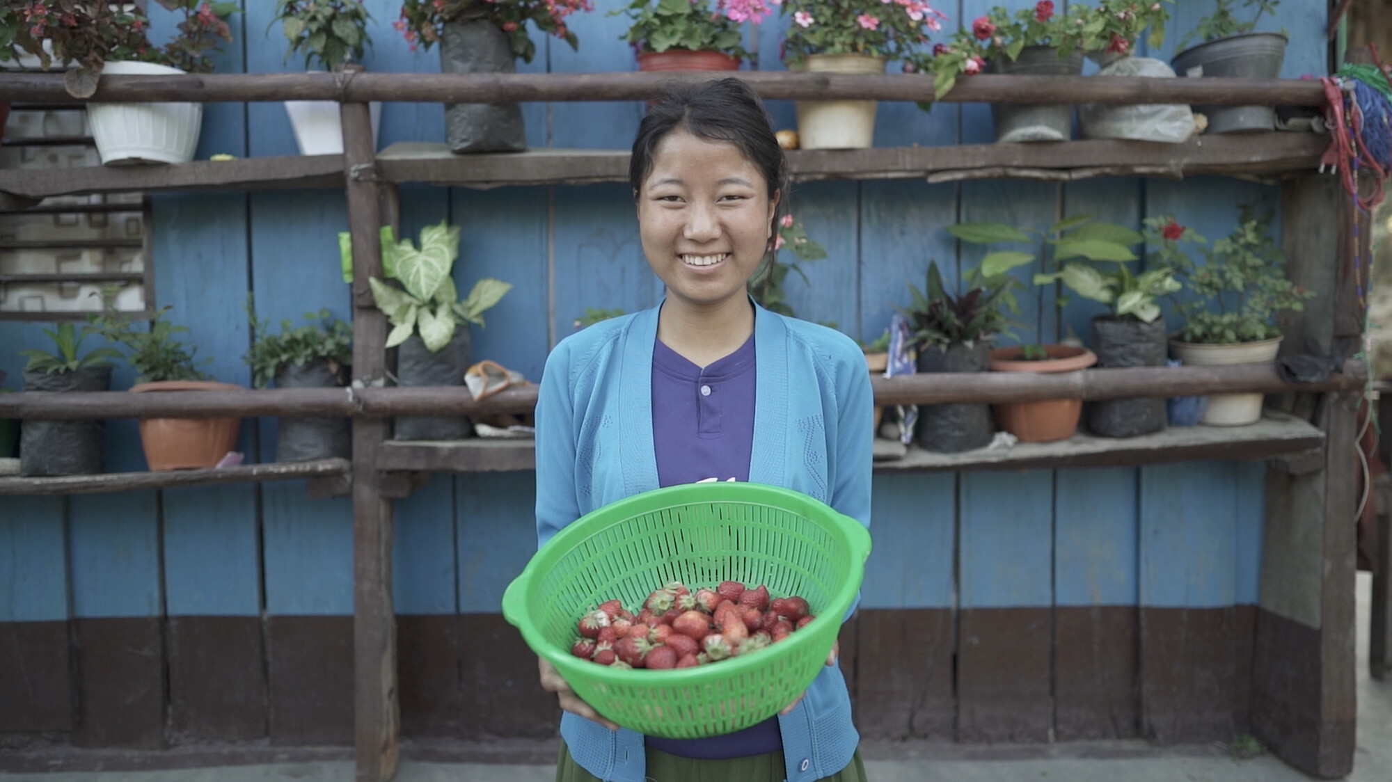 Strawberries from Puja’s farm in Kerabari Rural Municipality-3 in Morang, Nepal on Sunday, April 21, 2024. Puja sells strawberries in the nearby market