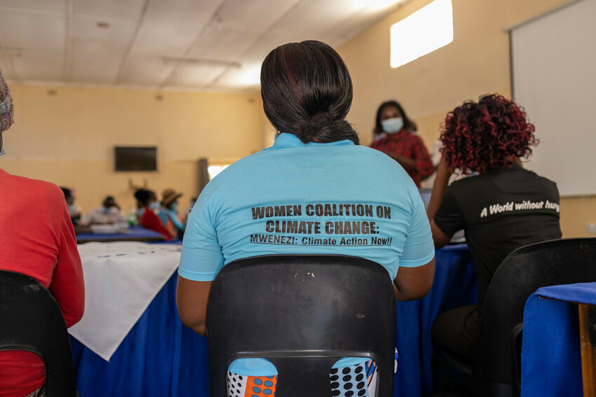 A meeting of the Women's Coalition on Climate Change in Mwenezi district.
