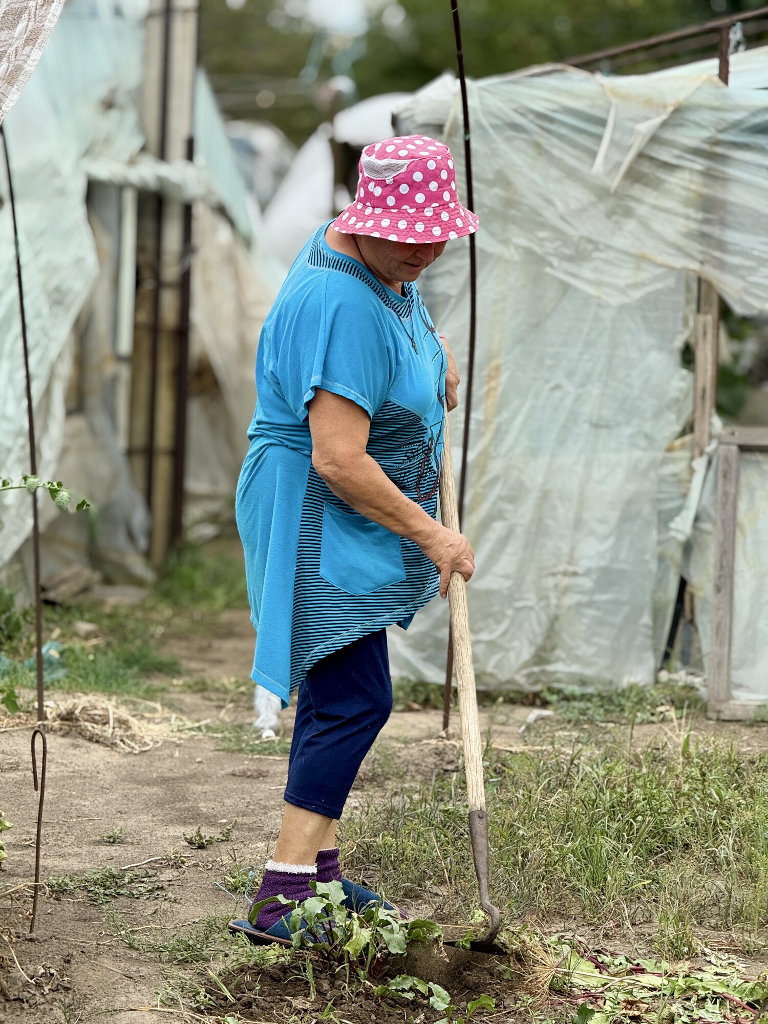 Valentina* works in the garden of the farmstead where she lives and had farmed alongside her husband until he was killed by enemy shelling.”
*Last name withheld for security.