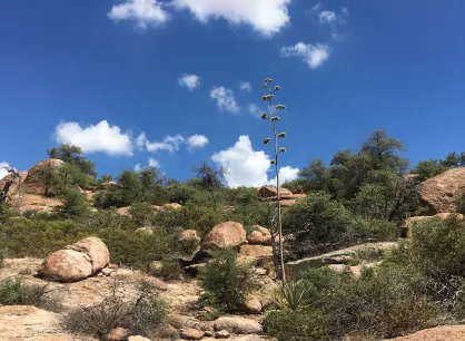 Critical minerals image.JPG Looking up at a rocky mountain side