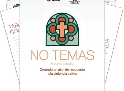 A screenshot of the curriculum