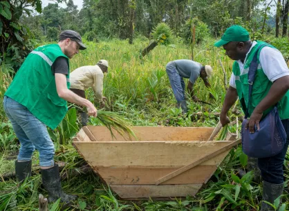 rs102916colombia-choco-day7-127-lpr.jpg Men harvesting plants in a field