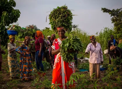 DR Congo Farm Bill.jpg Women gather on a farm with their harvests.