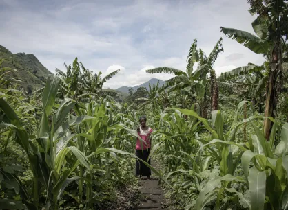 War-displaced Bahati Kamara Chance harvests a vegetable called “Bishusha” (squash leaf) in the community field provided by ECC Meru for war-displaced families in the Poste camp in Minova, South Ki