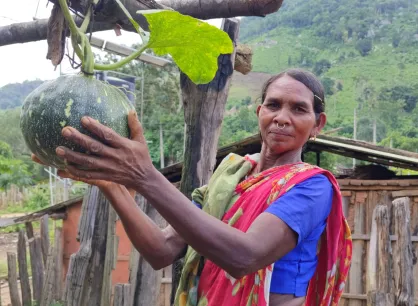 Lipimai Mondalmajhi is showing a pumpkin from her backyard vegetable garden.

She is from Bhutadi village, Kandhamal district, Odisha, where MCC partner Society for Nature, Education and Health (SNE