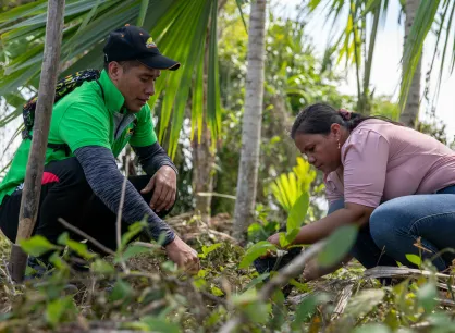 Oscar Torres and Judith Estela Robles Rivero plant a guava seedling on Robles Rivero's property.