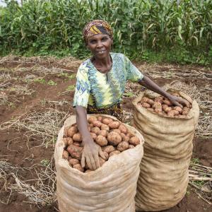 A lady with two bags of potatoes