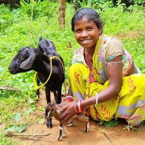 A young girl crouching with two goats