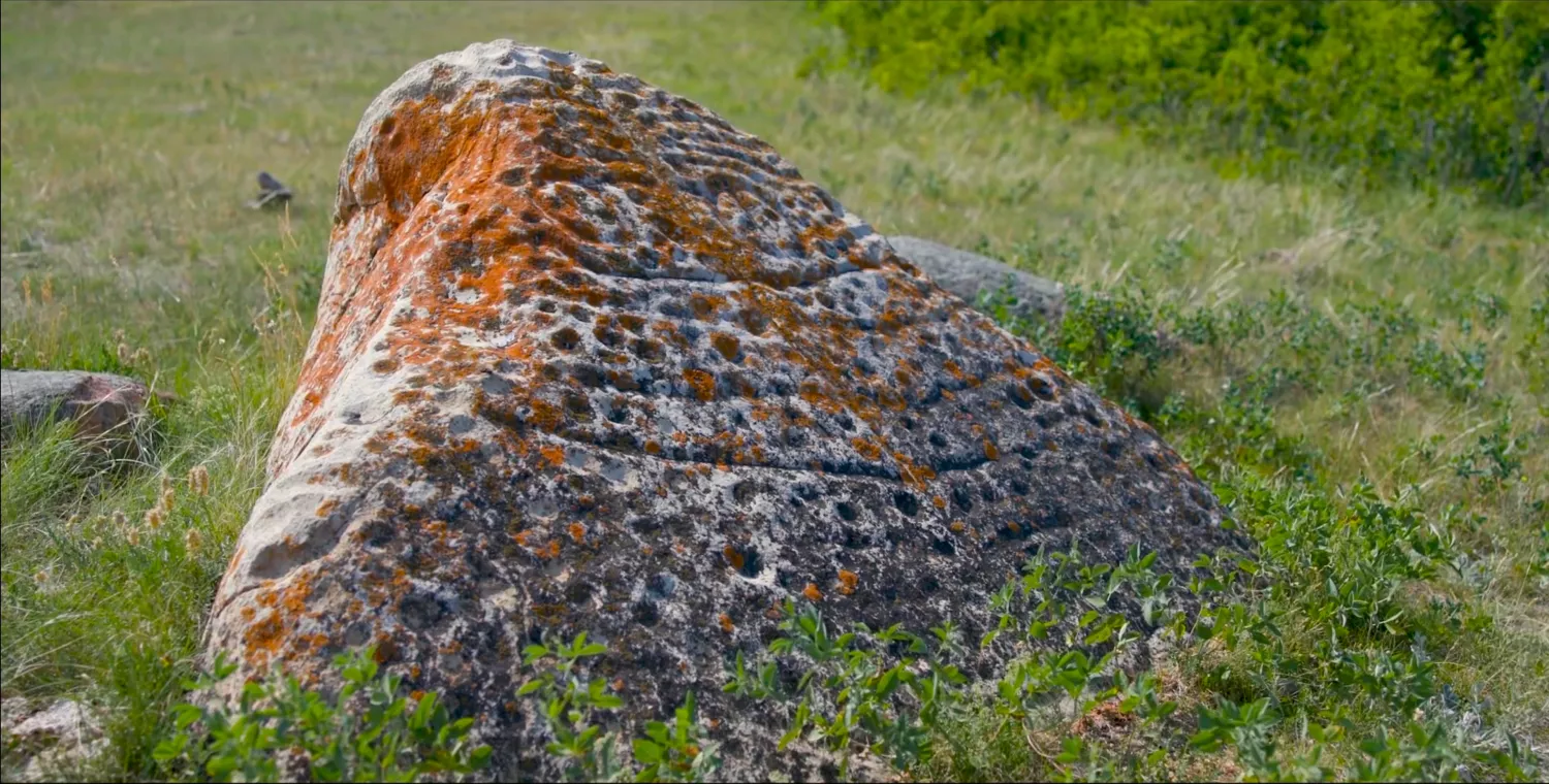 Petroglyph covered in orange lichen surrounded by green grass.