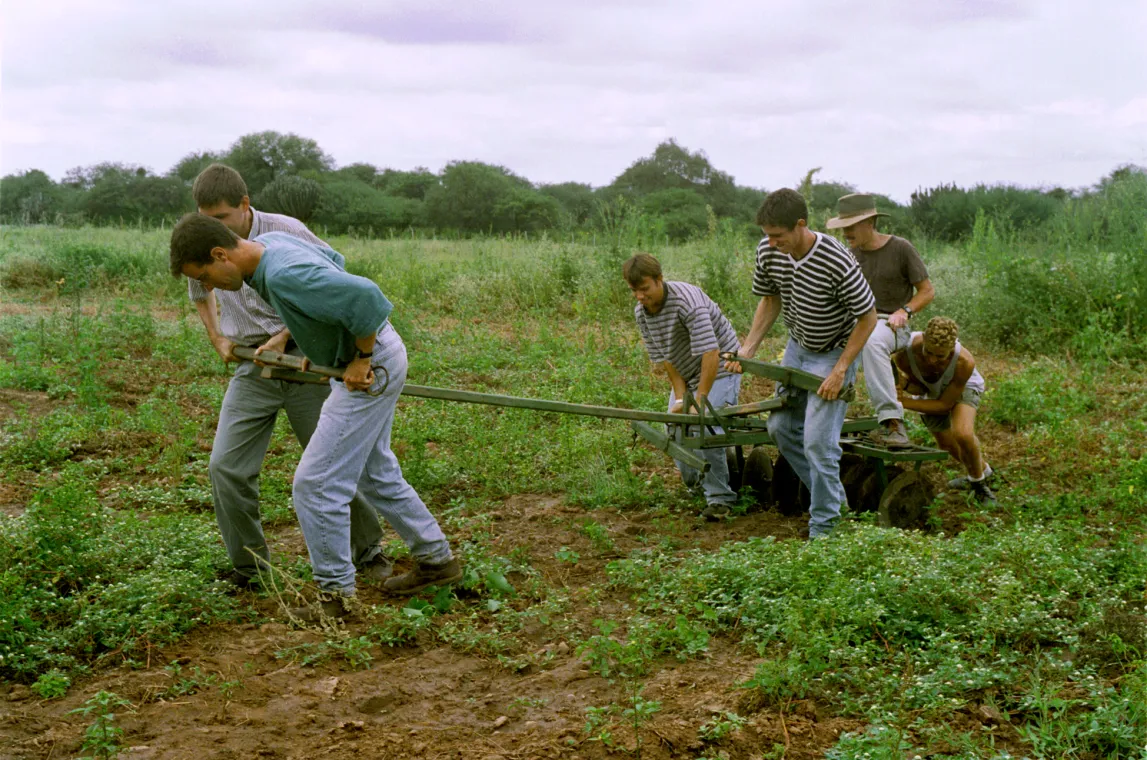 Group of young men working in a field