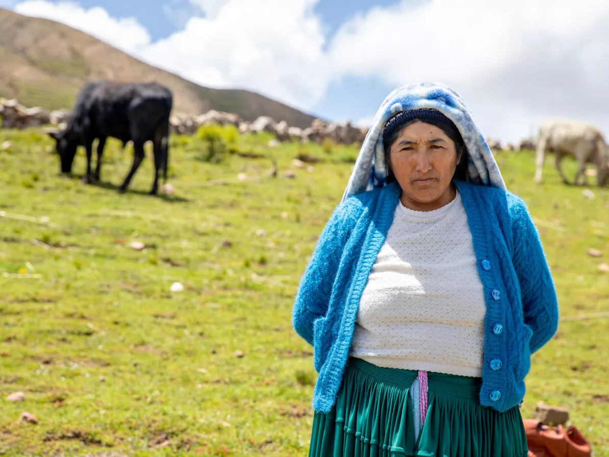 A Bolivian woman in a blue cardigan with a blanket draped on her hair stands in a cow pasture on a mountainside. There is a cow in the background. 