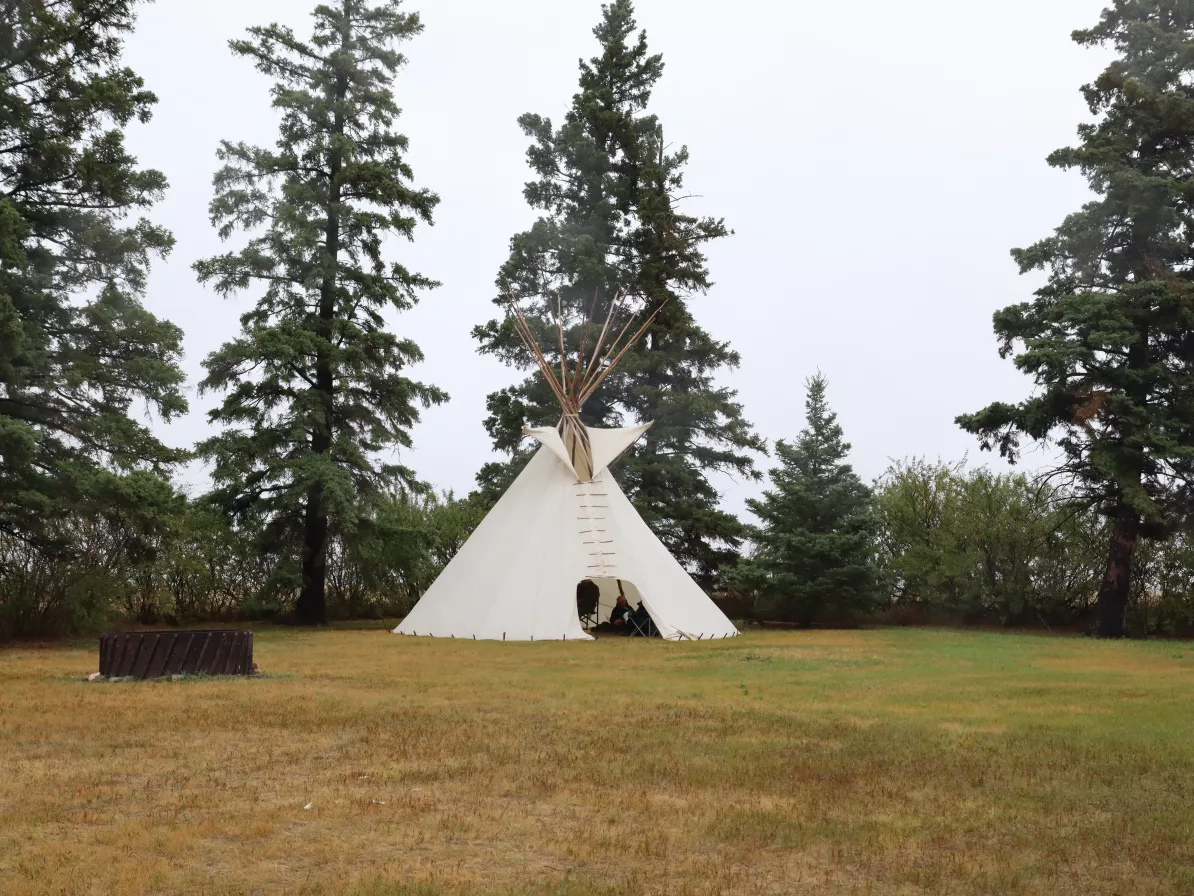An Indigenous tipi in front of pine frees