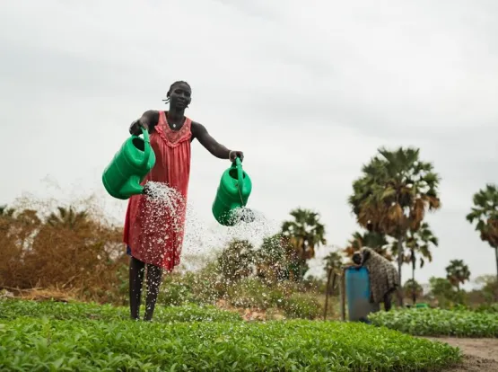 A woman watering her garden with two watering cans.