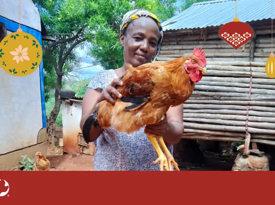 A woman holding up a chicken. Christmas ornaments are imposed over the photo with the MCC logo in the bottom left corner.