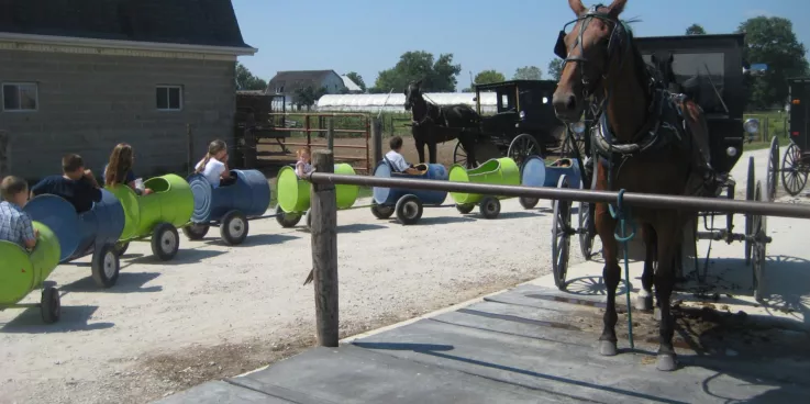 Children ride in barrels on wheels. There are Amish buggies and horses parked nearby.