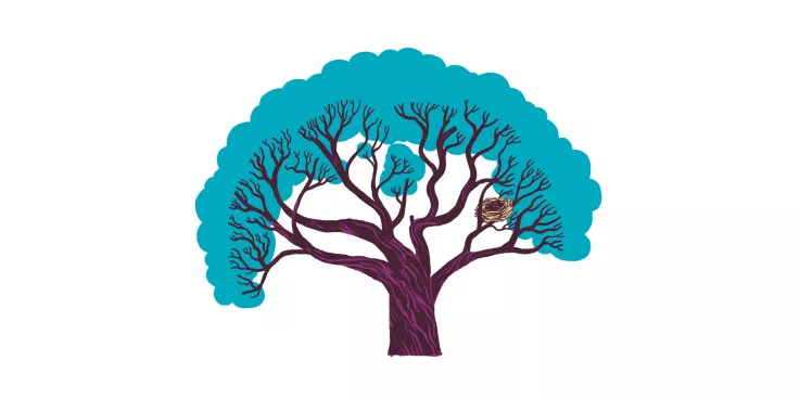 Abuse Response and Prevention program tree
