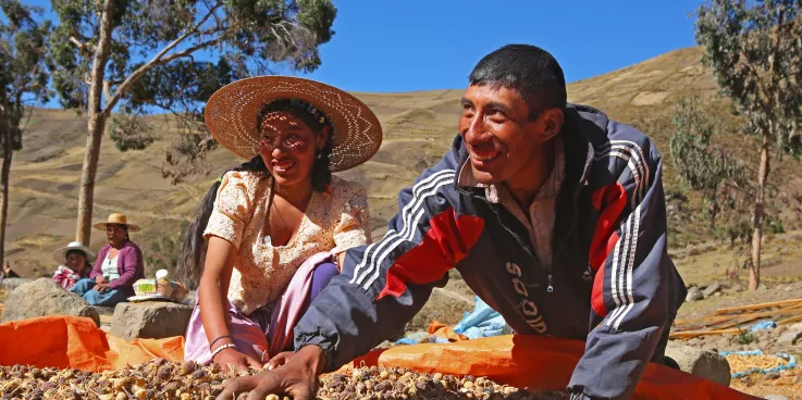 Sofia Perez, left, helps her brother, farmer German Perez Saénz rotate his maca crop as it dries.