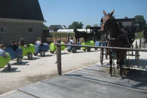 Children ride in barrels on wheels. There are Amish buggies and horses parked nearby.