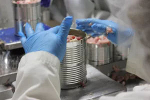 hand putting cubes of meat into metal cans