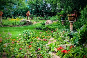 Garden with blooming flowers