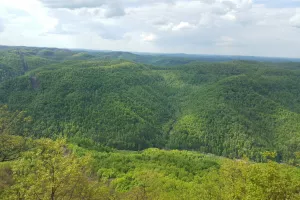 Scenery on Little Shepherd Trail in Harlan County, Kentucky.