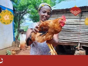 A woman holding up a chicken. Christmas ornaments are imposed over the photo with the MCC logo in the bottom left corner.