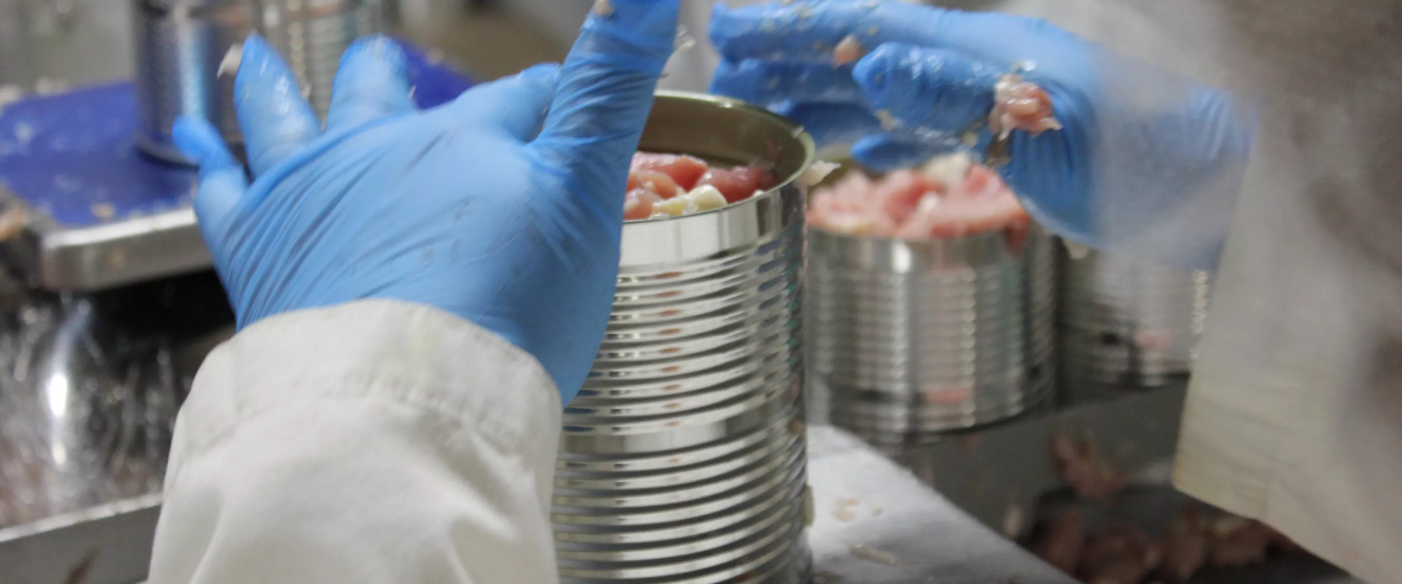 hand putting cubes of meat into metal cans