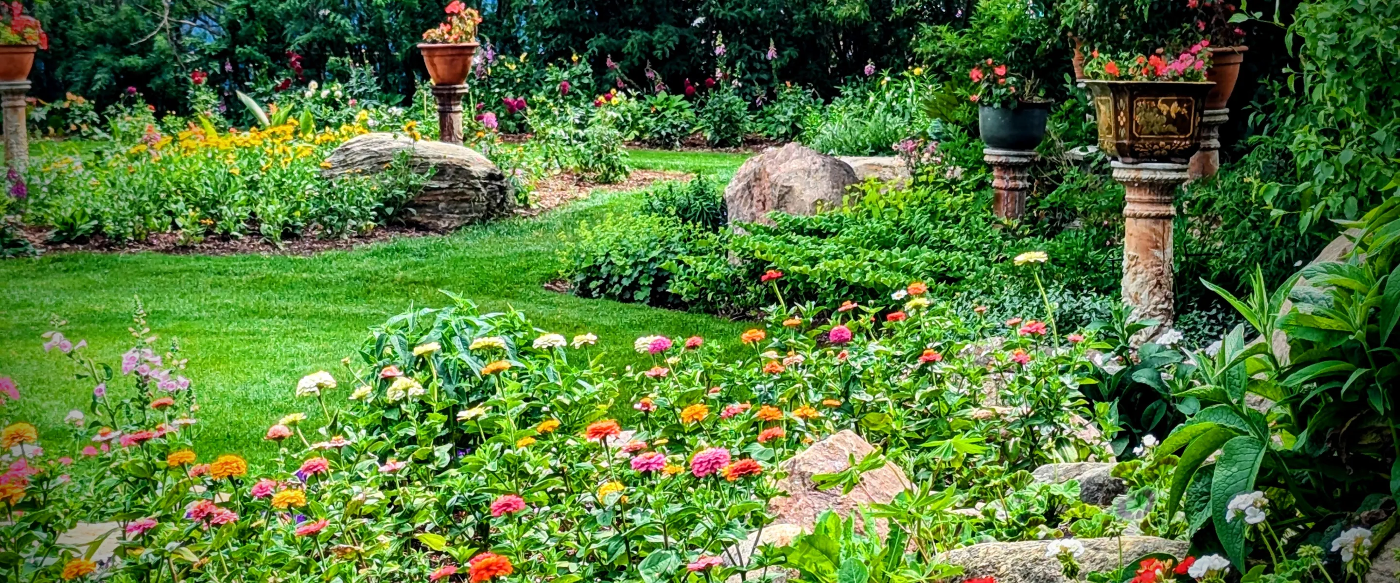 Garden with blooming flowers