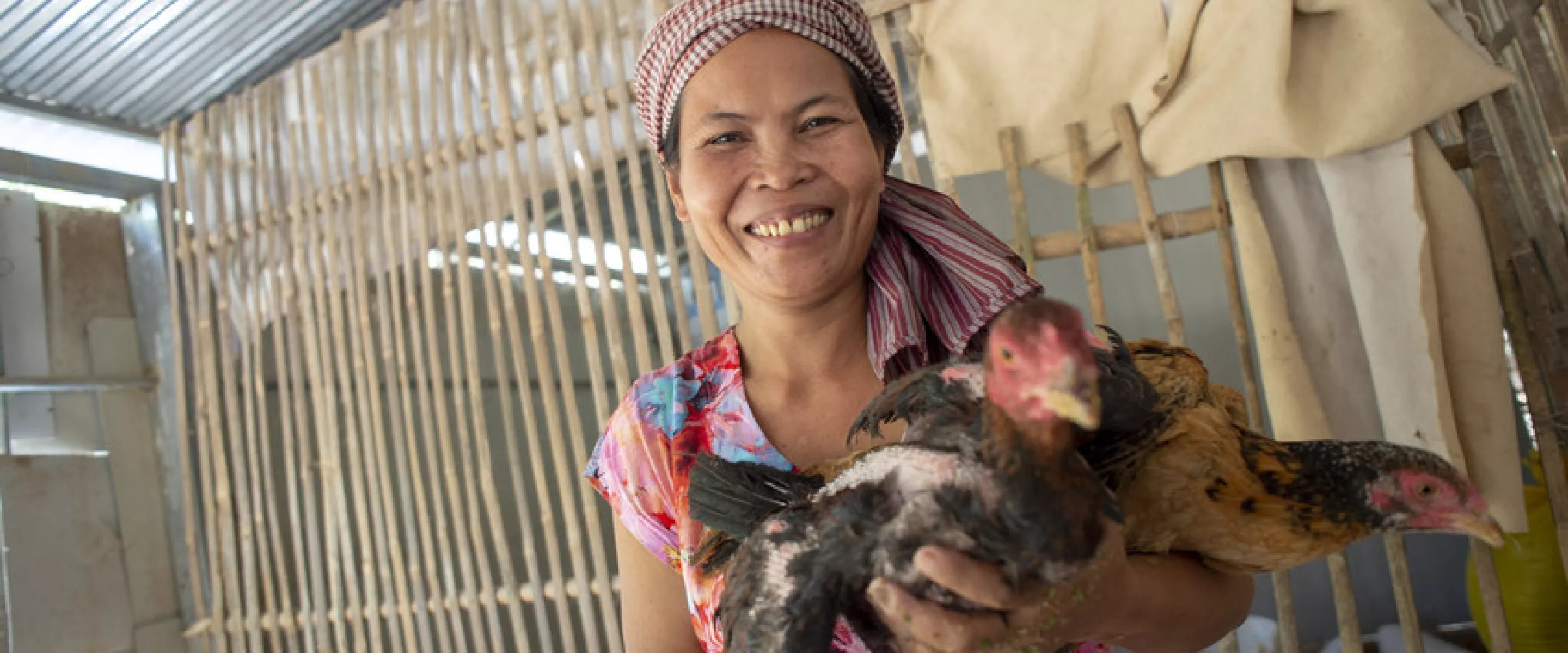 Chicken producer group member *Chim Thoeun poses for a photo with some of her chickens at the family home in the village of Trav. As a member of the local agricultural cooperative and chicken producer