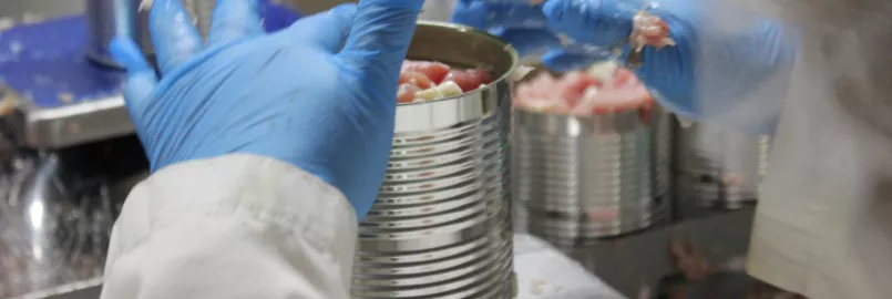 hand putting cubes of meat into metal cans