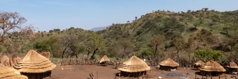 A rural village in Uganda