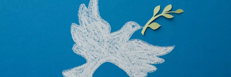 A chalk drawing of a white dove with a green olive branch in its beak