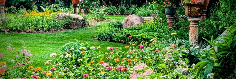 Garden with blooming flowers