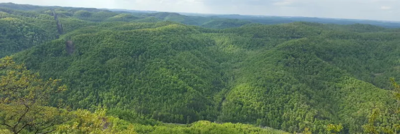 Scenery on Little Shepherd Trail in Harlan County, Kentucky.