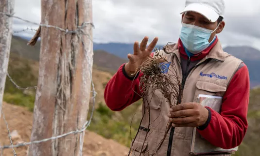 Un homme bolivien, coiffé d’une casquette blanche, portant un masque et une veste cargo kaki, examine une plante séchée.