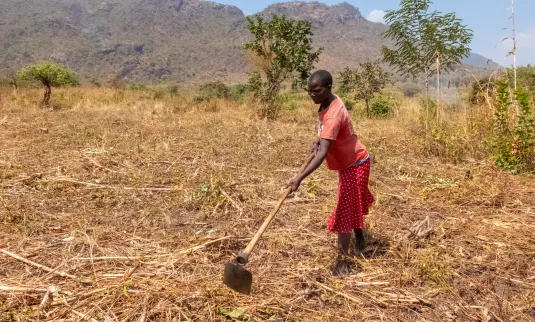 A woman hoes a field in Uganda