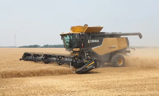 A combine harvests a field of wheat
