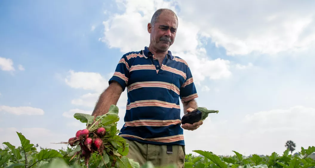 Farmer holding some freshly picked vegetables