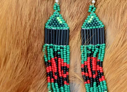 pair of beaded earrings
