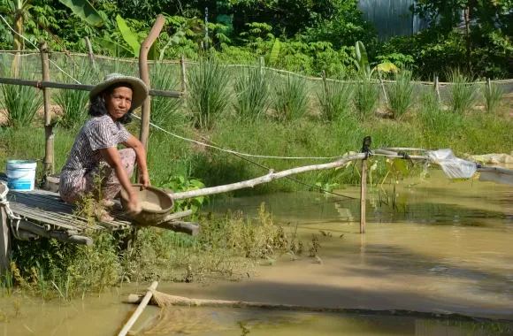Sun Yann, a subsistence farmer in rural Mesang district, feeds fish in a fishpond behind her house. The fishpond was designed and built through a project conducted by MCC partner Organization to Develop our Villages and funded through MCC's account at the Canadian Foodgrains Bank (CFGB).
